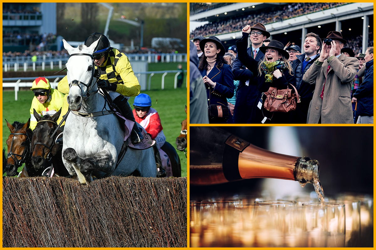 Jockeys, horses and audiences at the Cheltenham Racecourse